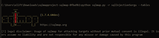 SQLmap Usage