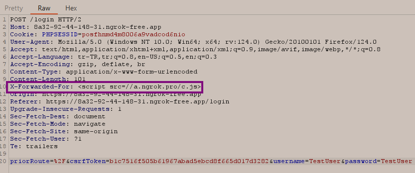 XSS payload injection