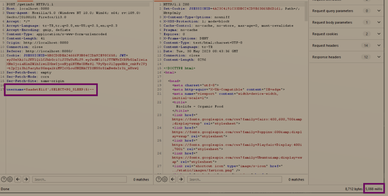 SQL Injection Payload
